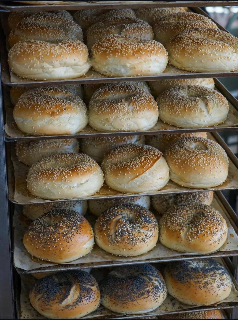 Plain Bagels